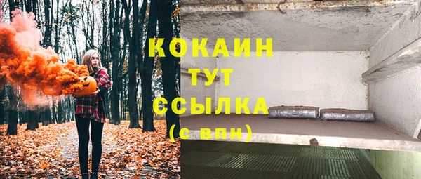 твердый Козловка