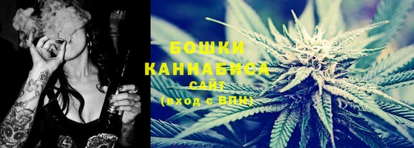 твердый Козловка